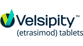 Velsipity Logo