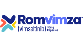 Romvimza Logo