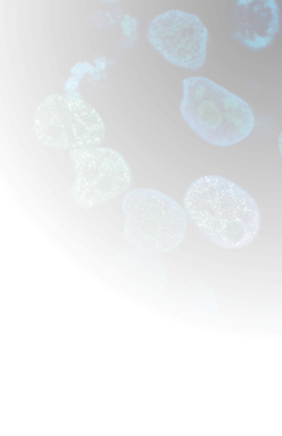 Radionetics Case Study