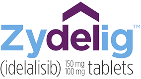 Zydelig Logo